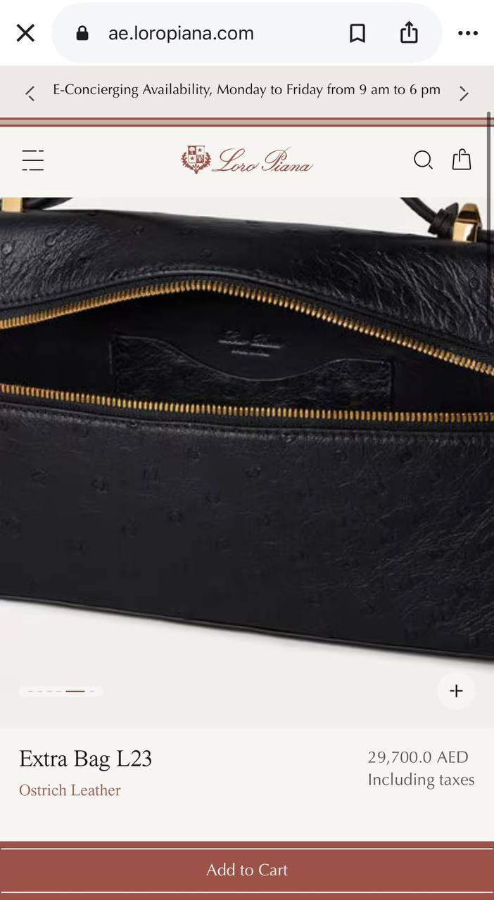 Loro piana Hand Bag - 