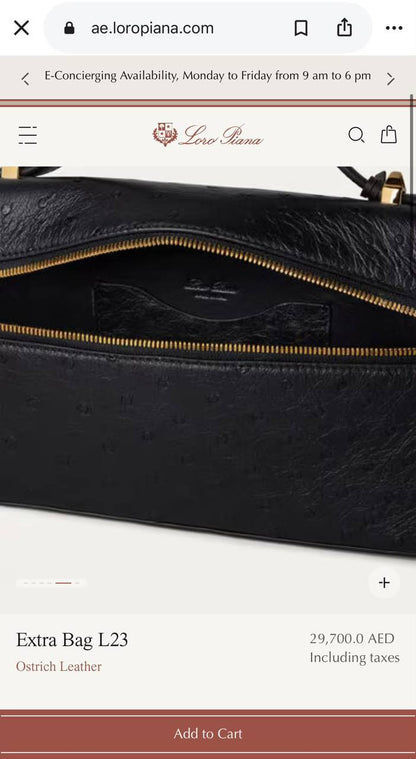 Loro piana Hand Bag - 