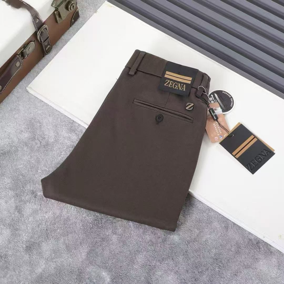 Zegna Pants - Brown