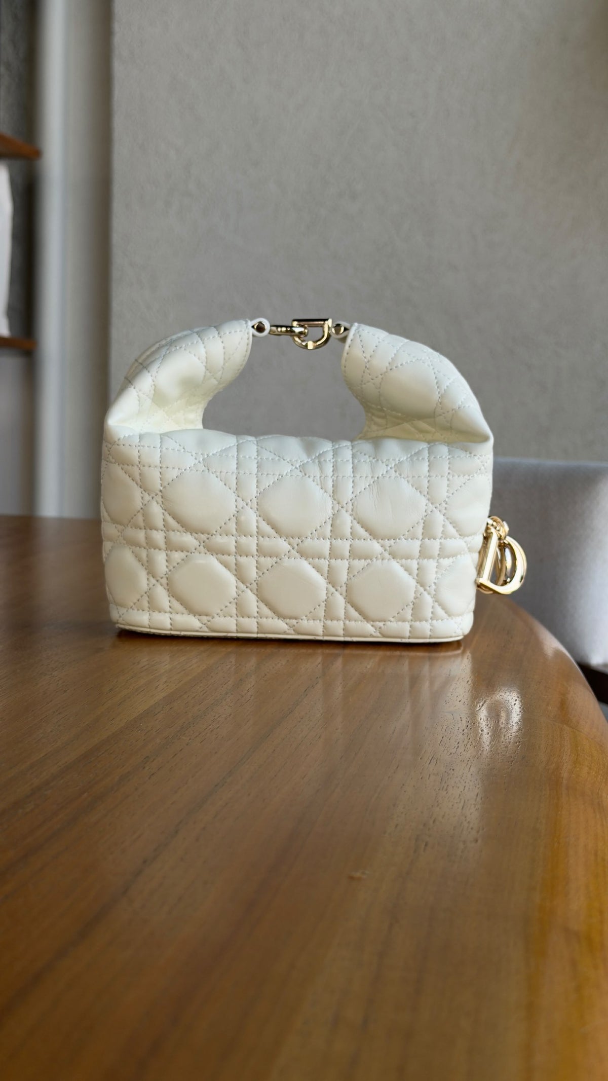 Dior Hobo Bag - White
