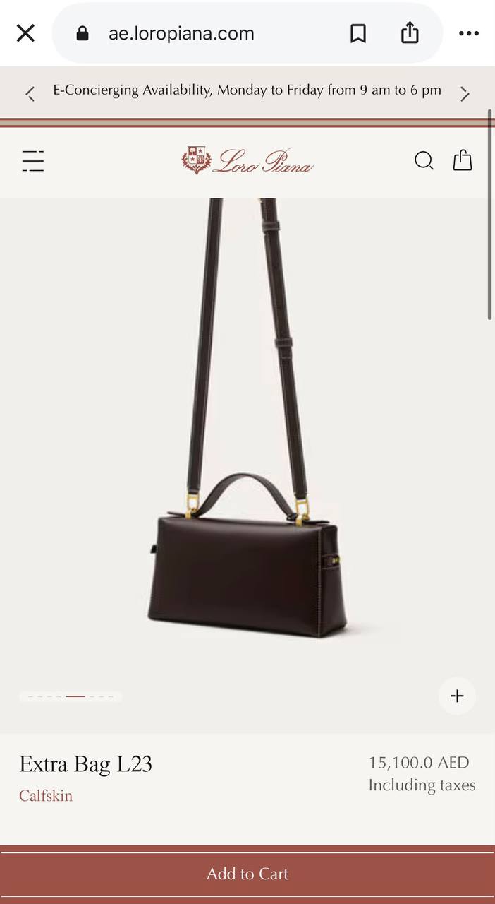 Loro piana Hand Bag - 
