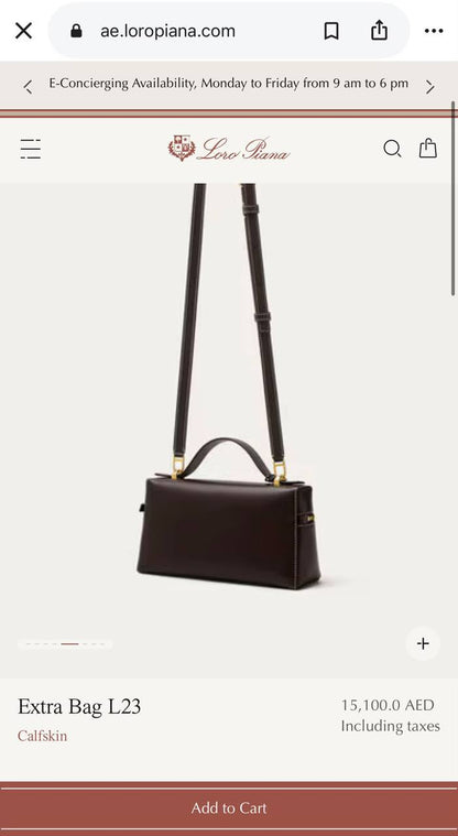 Loro piana Hand Bag - 