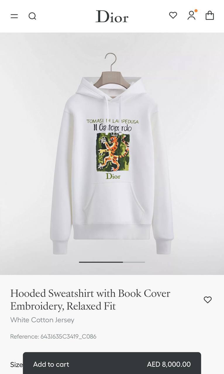 Dior Hoodie - 
