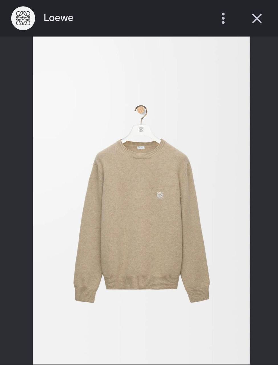 Loewe Sweater - 