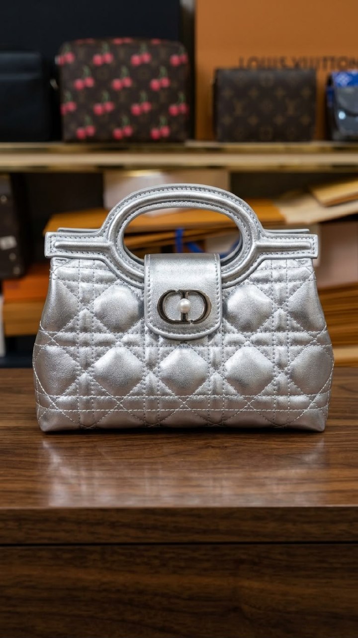 Dior Handbag - Silver