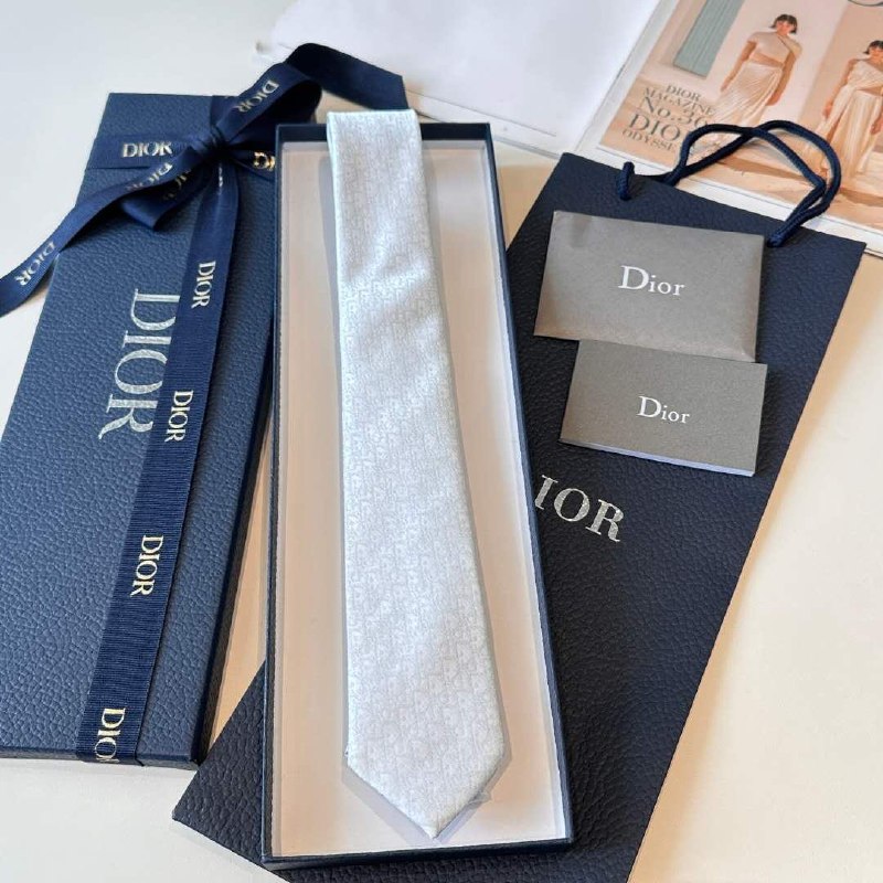 Dior Geometric Tie - Grey
