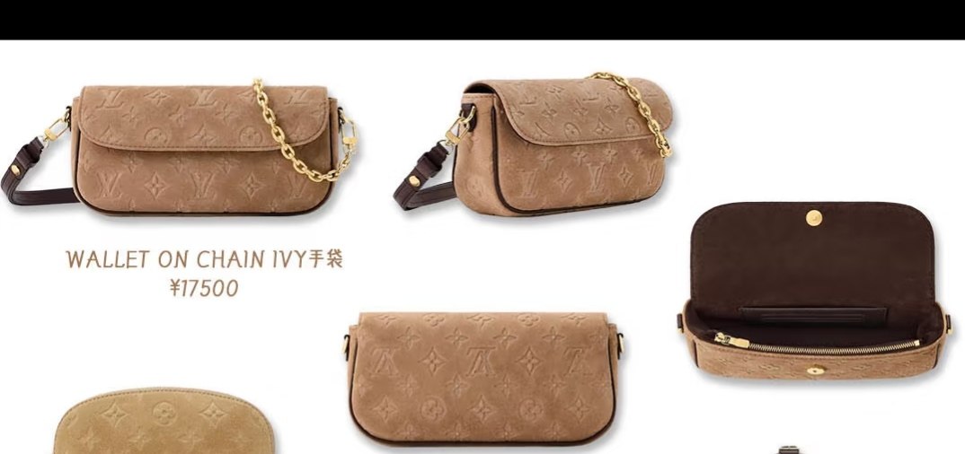 Louis Vuitton Wallet - Brown Embossed