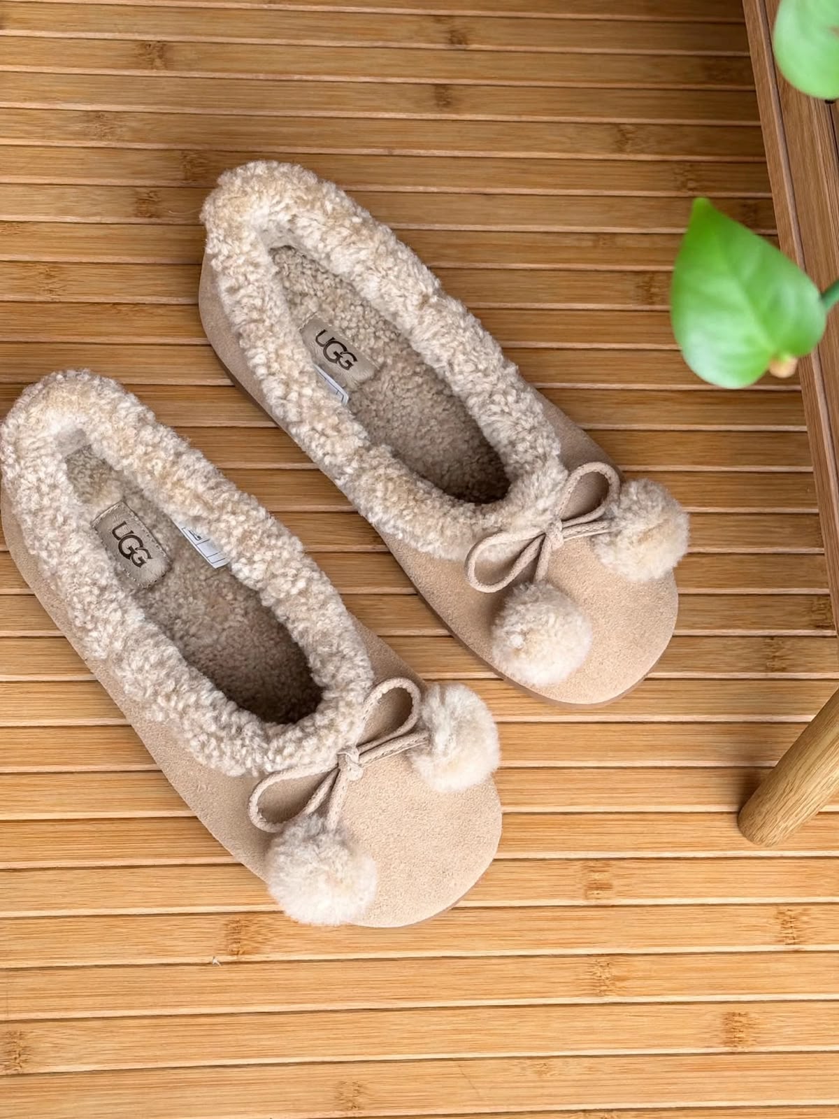 UGG Ballerina - Beige