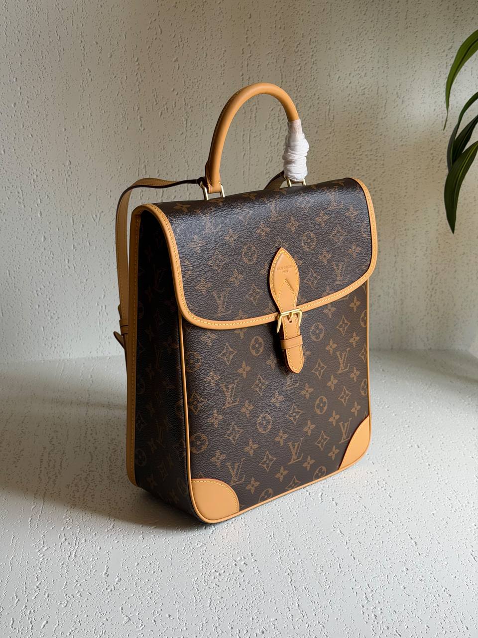 Louis Vuitton Backpack - 