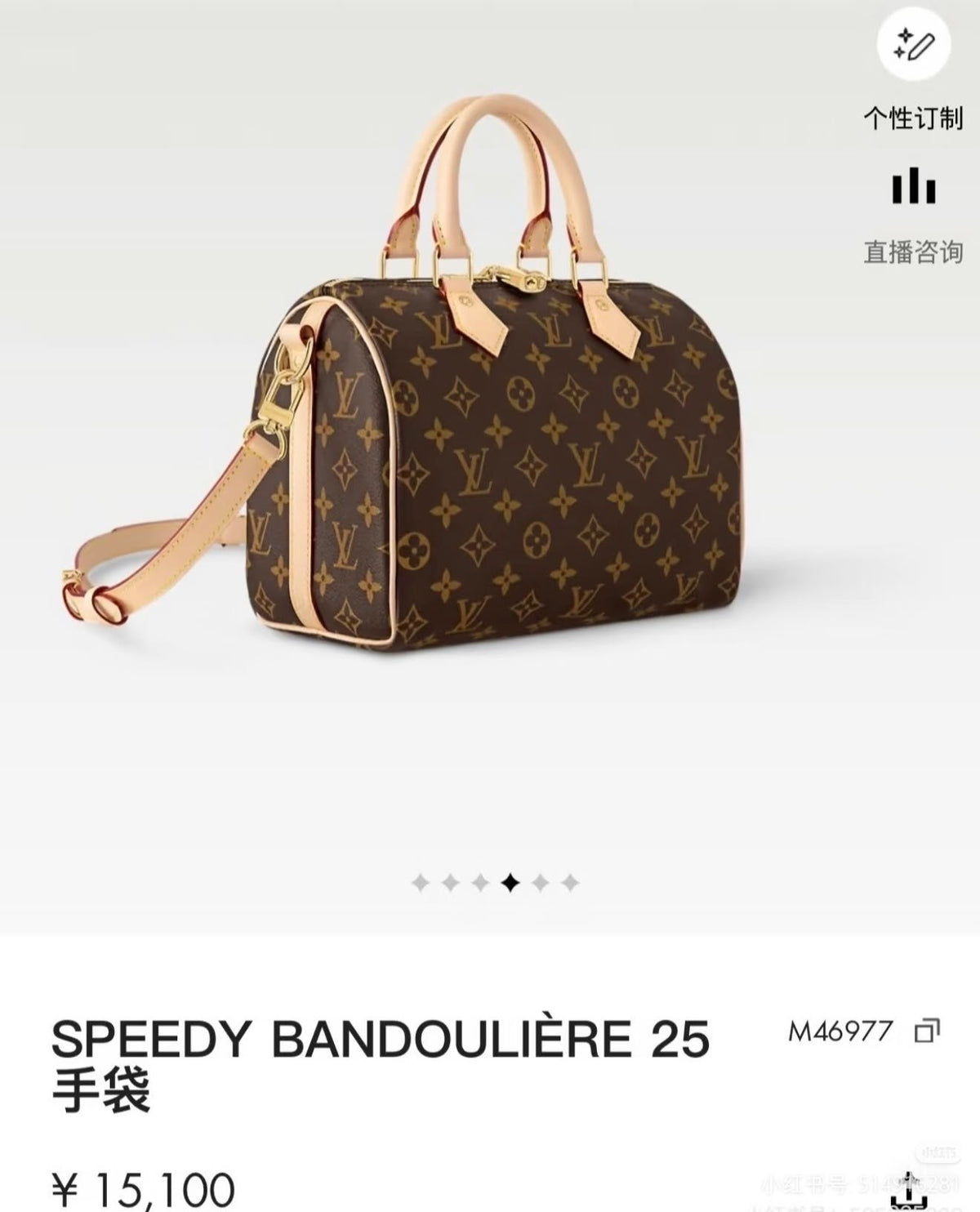 Louis Vuitton Speedy Handbag - Brown Monogram