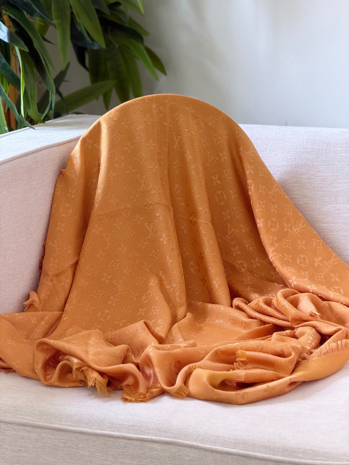 Louis Vuitton Scarf - Brown Monogram