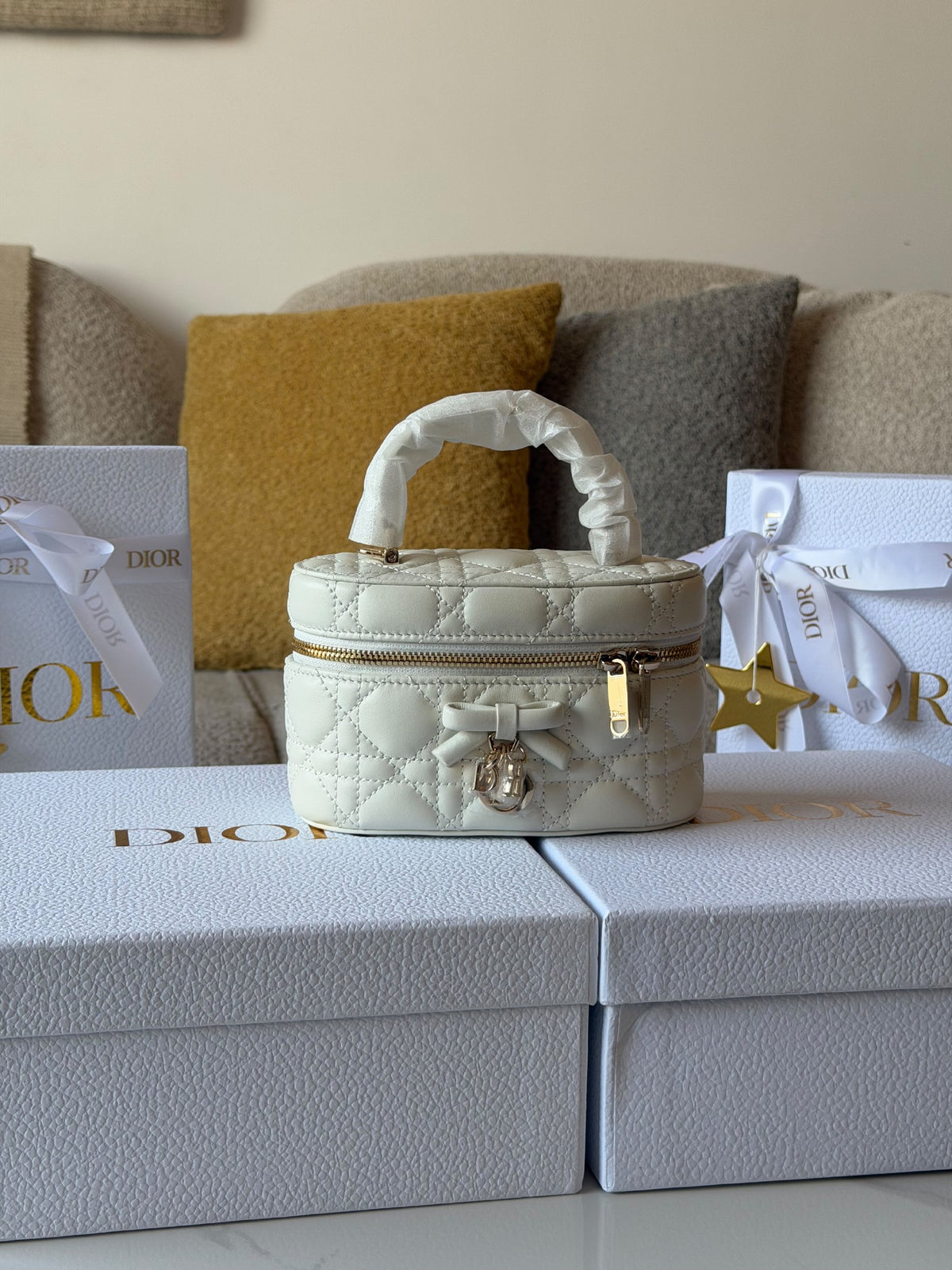 Dior Vanity Makeup Bag - White