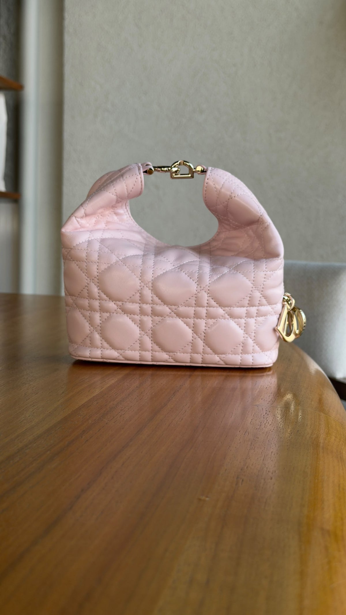 Dior Hobo Bag - Pink
