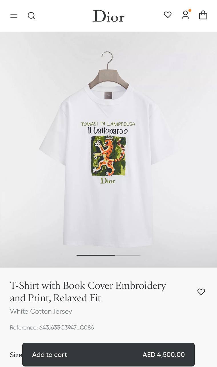 Dior T-shirt - 