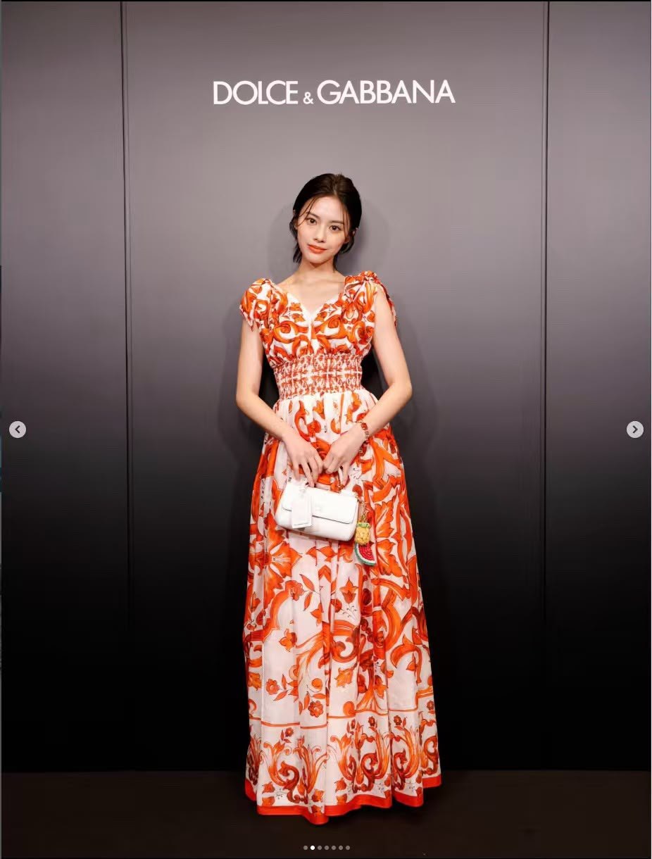 Dolce & Gabbana Dress - Multi