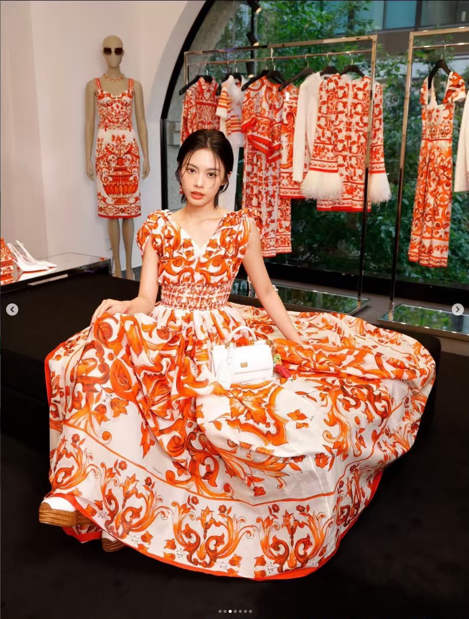 Dolce & Gabbana Dress - Multi