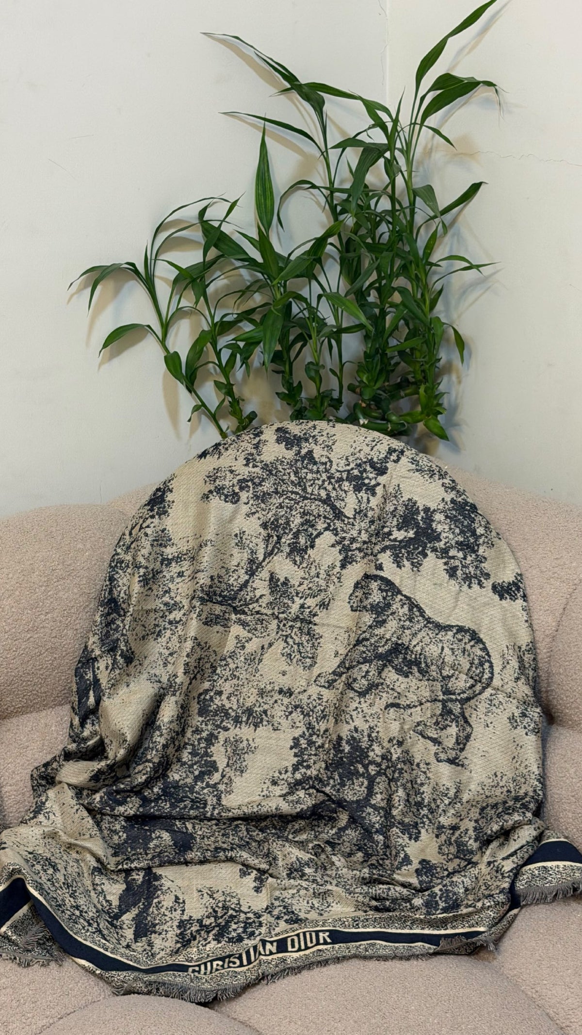 Dior Toile Scarf - Beige