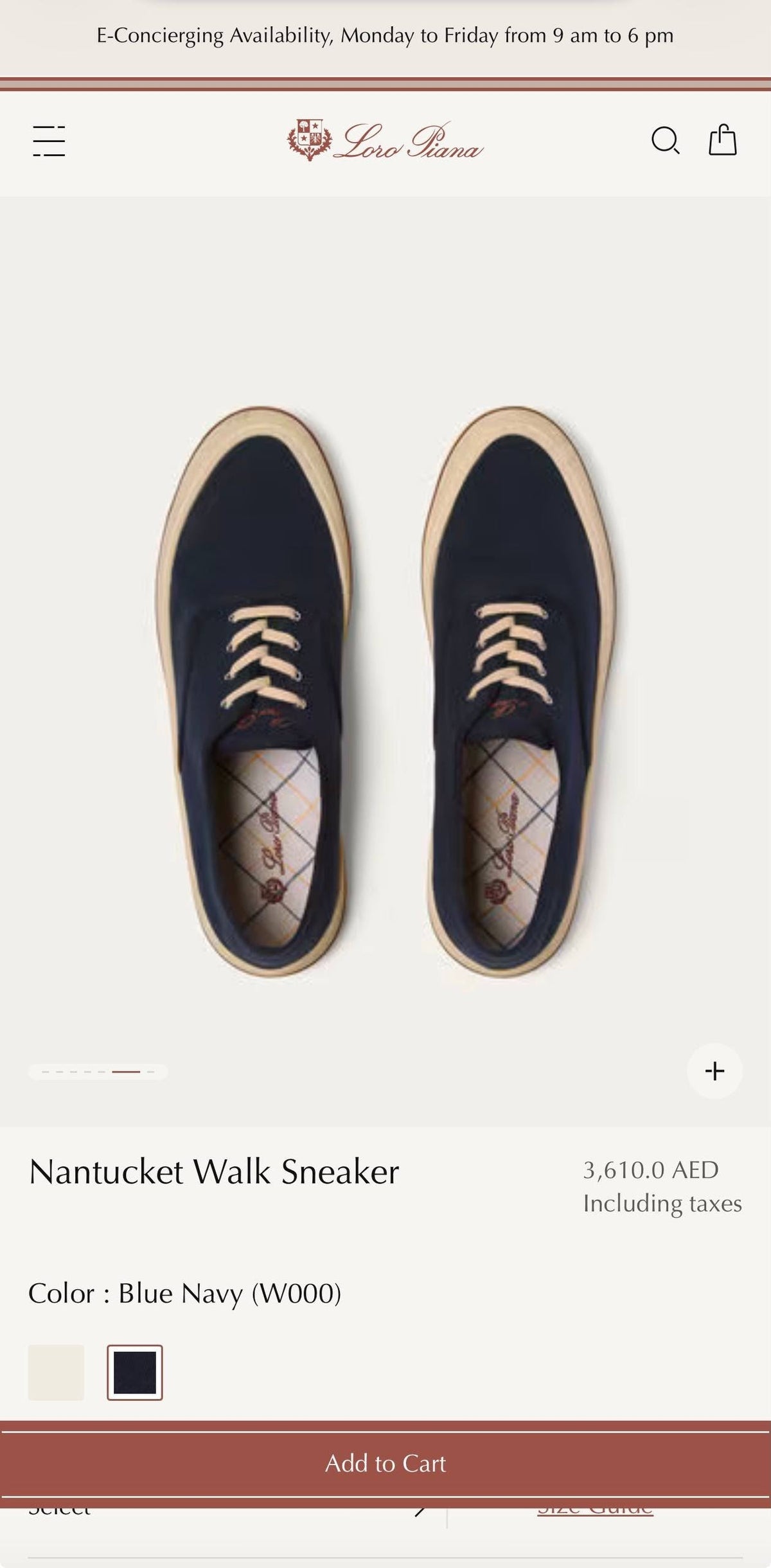Loro Piana Sneakers - White, Navy