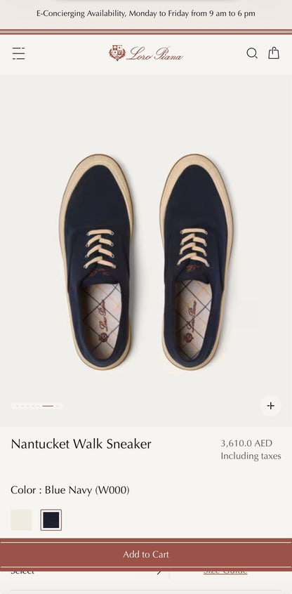 Loro Piana Sneakers - White, Navy