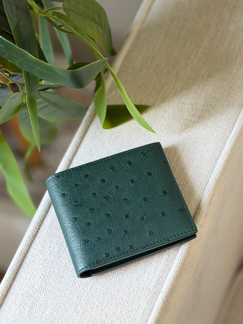 Bottega Veneta Bifold Wallet - Green Embossed