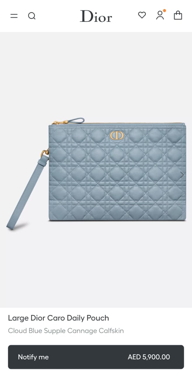 Dior Clutch - Blue