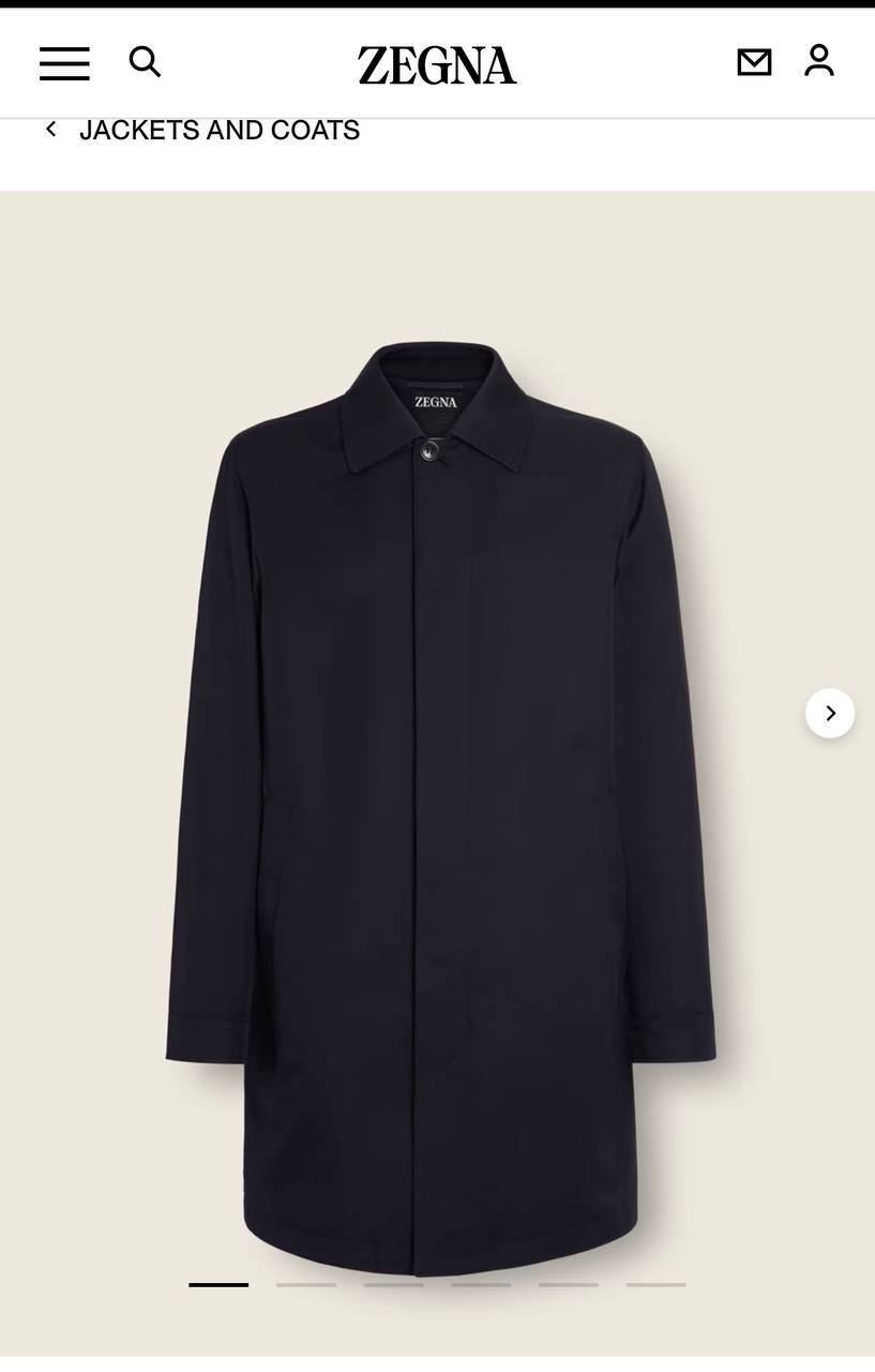 Zegna Coat - 