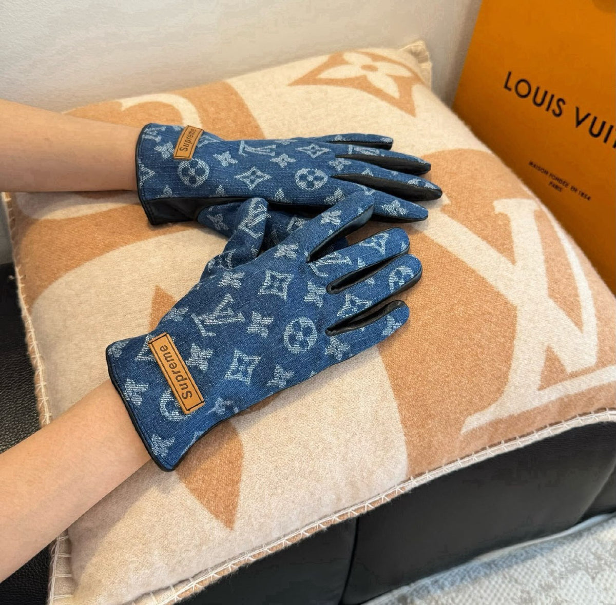 Louis Vuitton Gloves - Blue Monogram