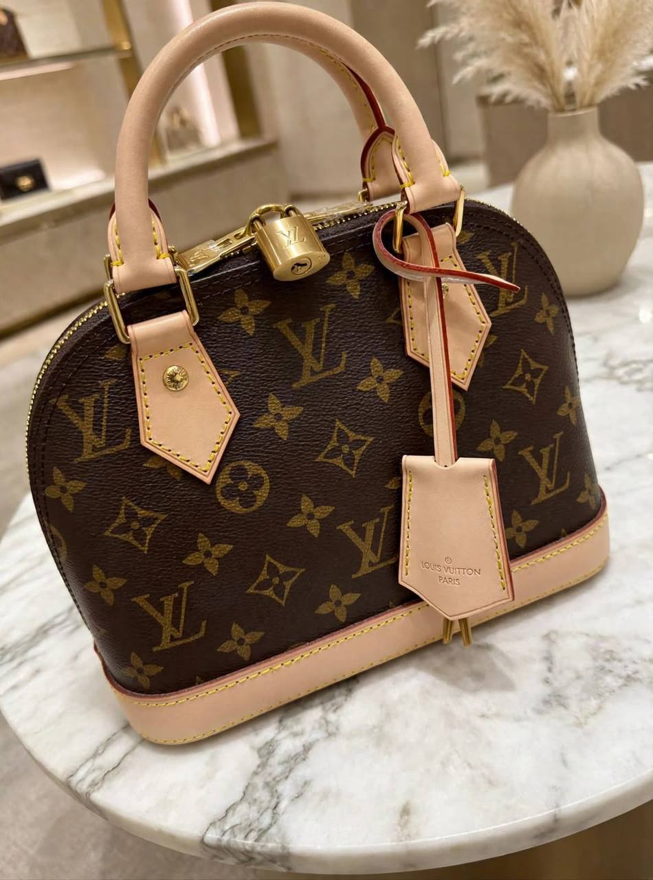 Louis Vuitton Hand Bag - 